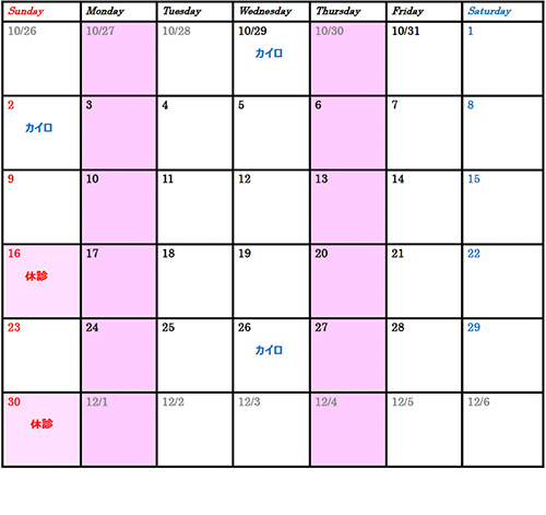 11月のカレンダー